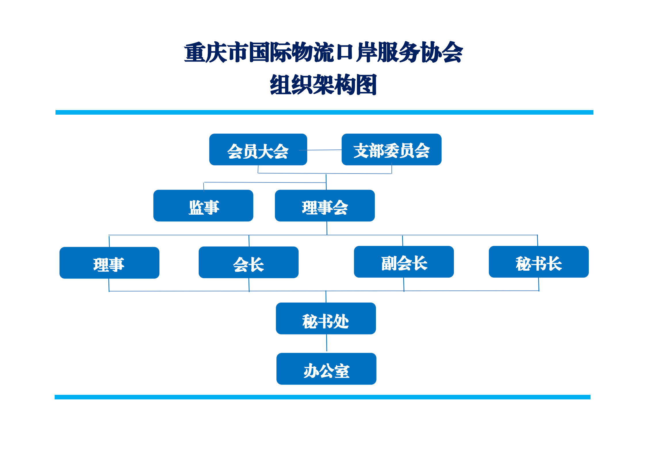 协会组织架构图_1.jpg